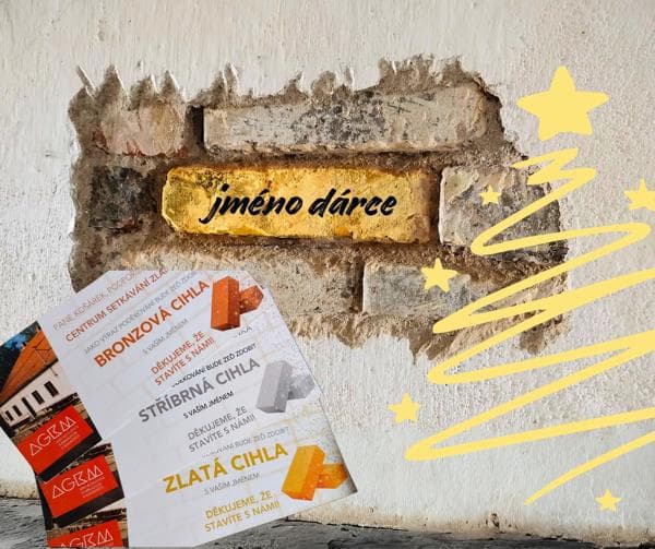 Fotografie pro Daruj dárek, který má váhu - daruj cihlu!